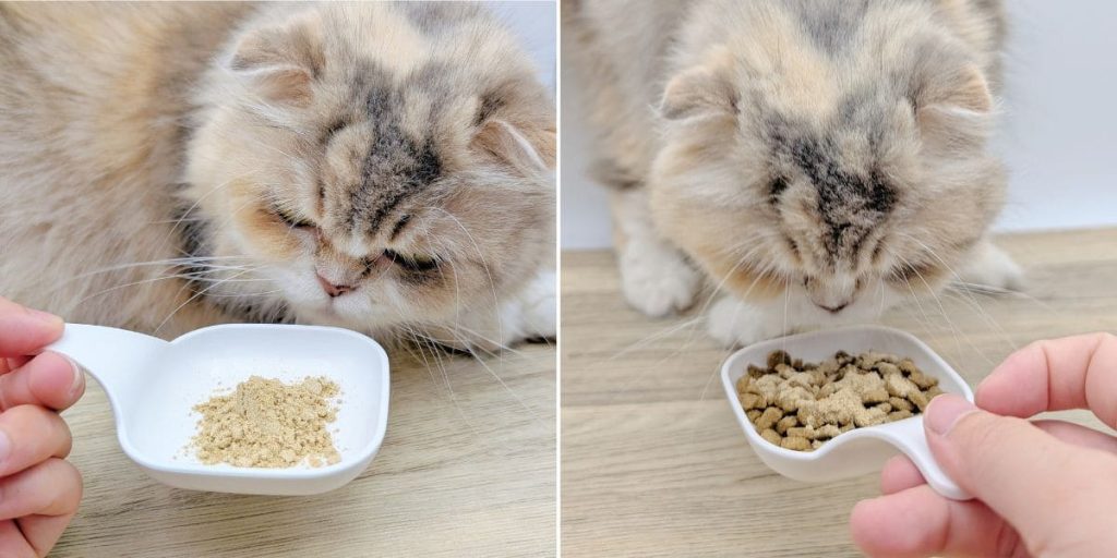 挑嘴貓開箱｜貓咪搶著吃的寵物營養品：珮慈星系 Pets Galaxy【超寵】寵物超級營養粉大公開-AG吃貨
