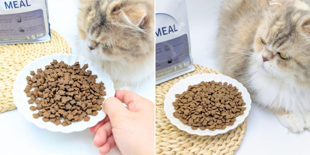 貓飼料開箱｜50年台灣品牌：信元發育寶三款處方糧推薦清單｜SEC36（情緒舒緩方針）、VUC4（貓下泌尿道處方糧）、VKC4（貓腎臟處方糧）-AG吃貨