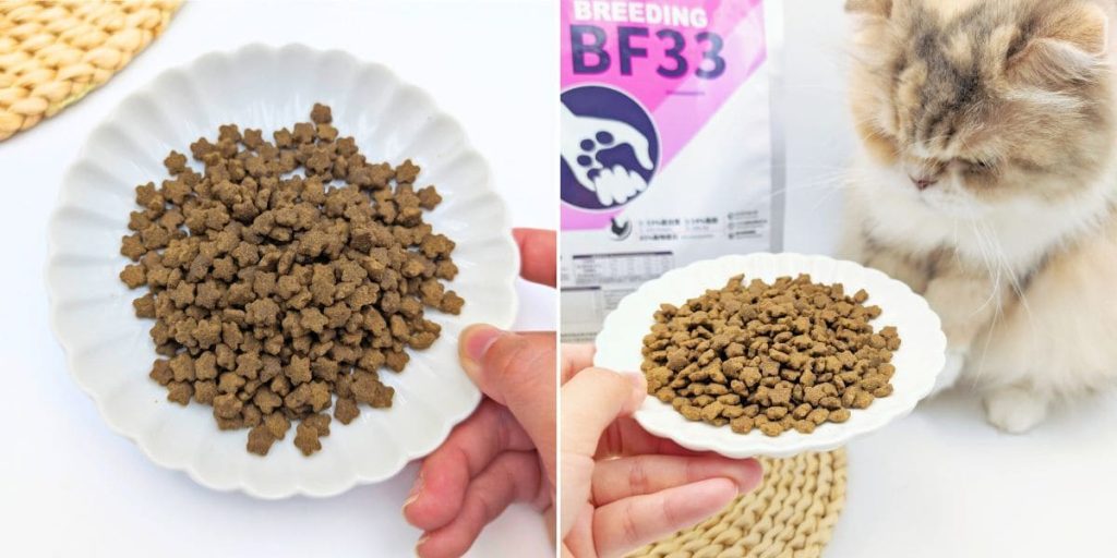 貓飼料推薦｜50年台灣品牌：信元發育寶三款人氣貓糧開箱評比｜BF33全齡貓糧、貓用餉味舞食、貓用鮮嫩三品-AG吃貨