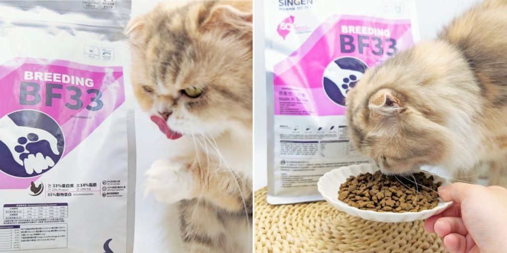 貓飼料推薦｜50年台灣品牌：信元發育寶三款人氣貓糧開箱評比｜BF33全齡貓糧、貓用餉味舞食、貓用鮮嫩三品-AG吃貨