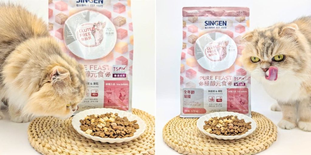 貓飼料推薦｜50年台灣品牌：信元發育寶三款人氣貓糧開箱評比｜BF33全齡貓糧、貓用餉味舞食、貓用鮮嫩三品-AG吃貨