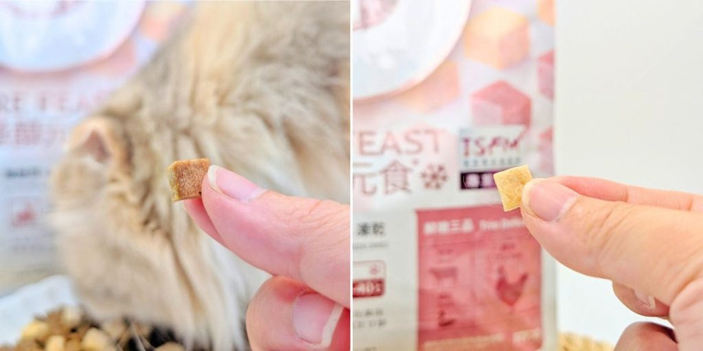 貓飼料推薦｜50年台灣品牌：信元發育寶三款人氣貓糧開箱評比｜BF33全齡貓糧、貓用餉味舞食、貓用鮮嫩三品-AG吃貨