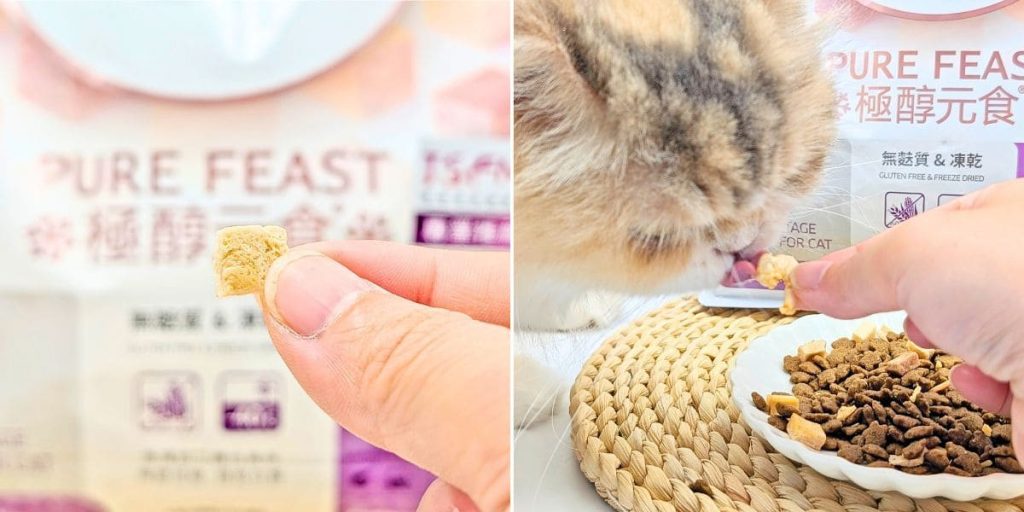 貓飼料推薦｜50年台灣品牌：信元發育寶三款人氣貓糧開箱評比｜BF33全齡貓糧、貓用餉味舞食、貓用鮮嫩三品-AG吃貨