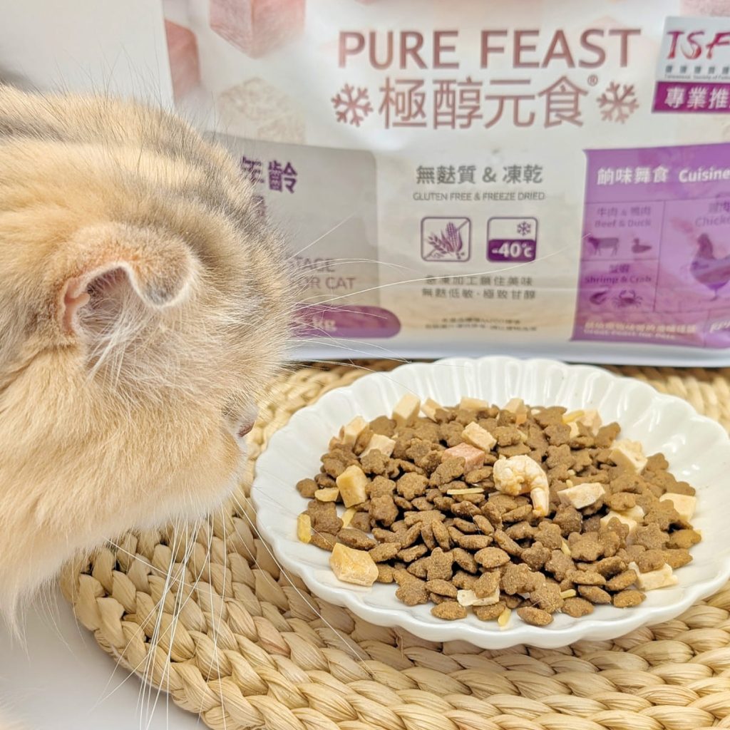 貓飼料推薦｜50年台灣品牌：信元發育寶三款人氣貓糧開箱評比｜BF33全齡貓糧、貓用餉味舞食、貓用鮮嫩三品-AG吃貨