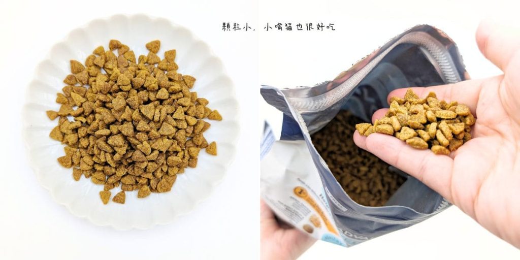適合老貓的飼料推薦｜Advance愛旺斯貓飼料評價｜熟齡挑食猫「也愛的飼料」營養、好吃一次擁有的貓飼料-AG吃貨