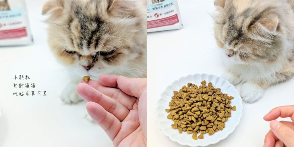 適合老貓的飼料推薦｜Advance愛旺斯貓飼料評價｜熟齡挑食猫「也愛的飼料」營養、好吃一次擁有的貓飼料-AG吃貨