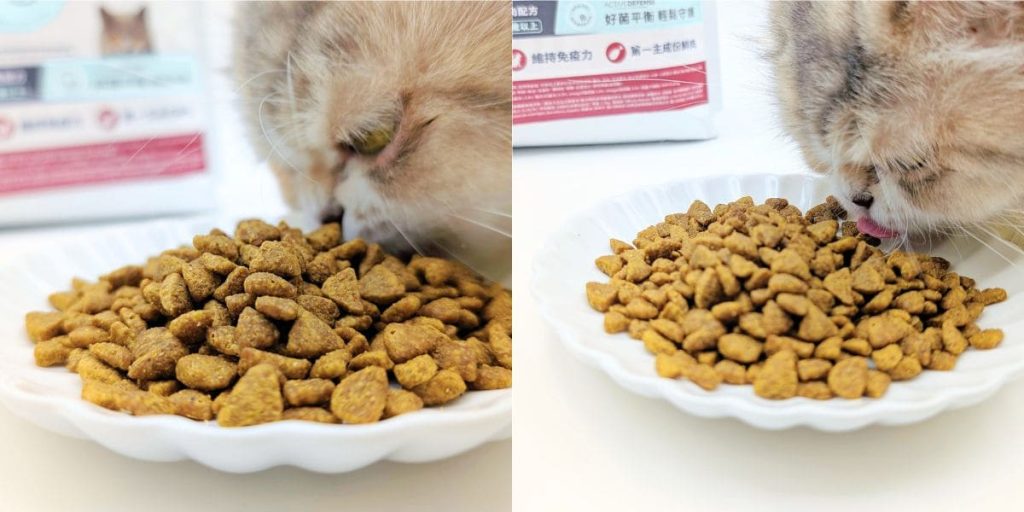 適合老貓的飼料推薦｜Advance愛旺斯貓飼料評價｜熟齡挑食猫「也愛的飼料」營養、好吃一次擁有的貓飼料-AG吃貨