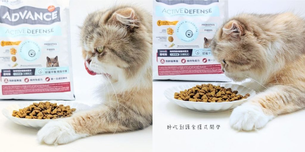 適合老貓的飼料推薦｜Advance愛旺斯貓飼料評價｜熟齡挑食猫「也愛的飼料」營養、好吃一次擁有的貓飼料-AG吃貨