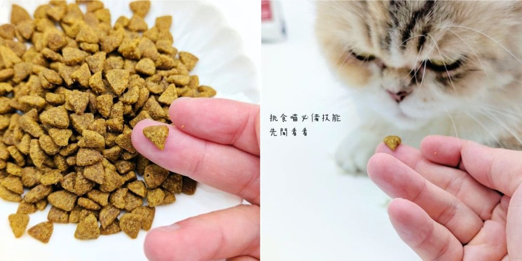 適合老貓的飼料推薦｜Advance愛旺斯貓飼料評價｜熟齡挑食猫「也愛的飼料」營養、好吃一次擁有的貓飼料-AG吃貨