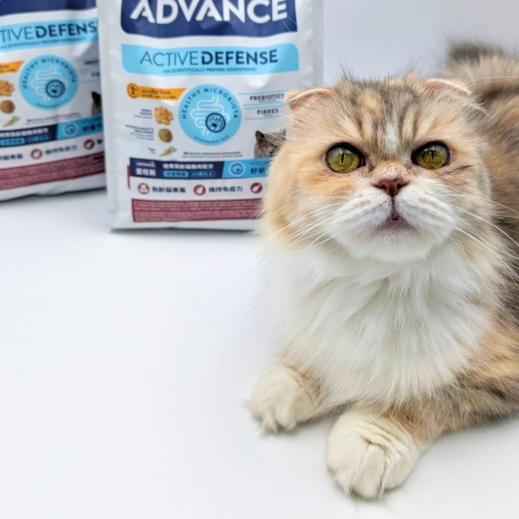 適合老貓的飼料推薦｜Advance愛旺斯貓飼料評價｜熟齡挑食猫「也愛的飼料」營養、好吃一次擁有的貓飼料-AG吃貨