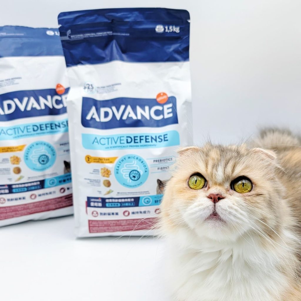 適合老貓的飼料推薦｜Advance愛旺斯貓飼料評價｜熟齡挑食猫「也愛的飼料」營養、好吃一次擁有的貓飼料-AG吃貨