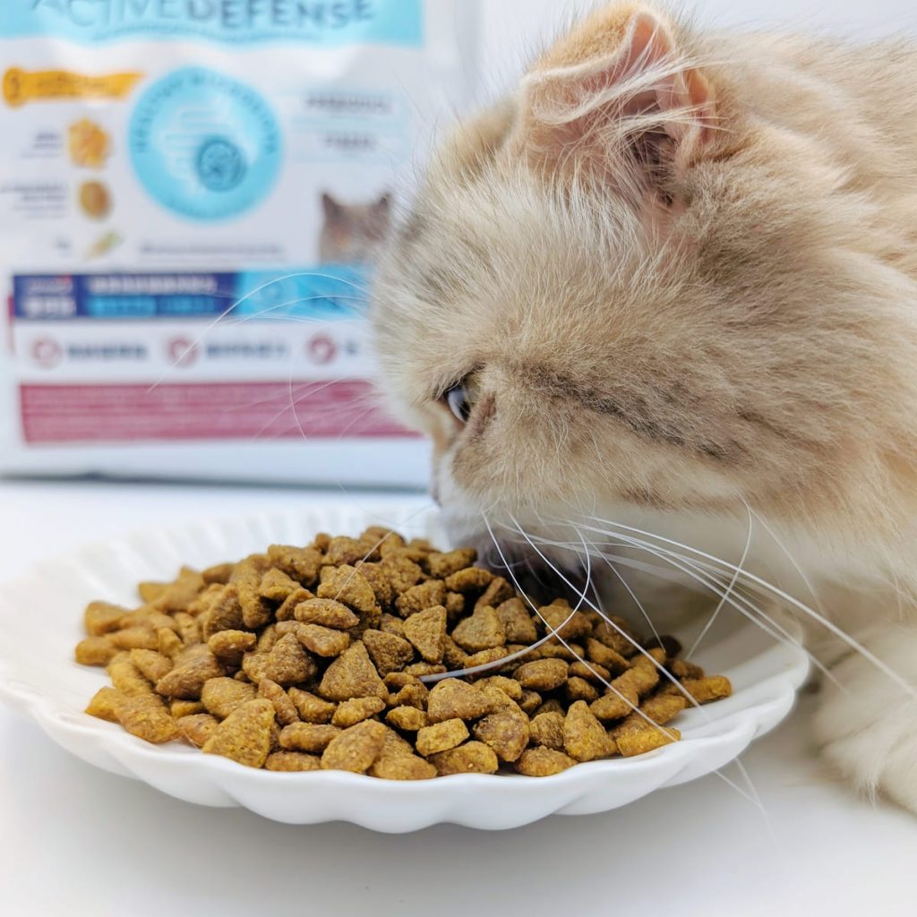適合老貓的飼料推薦｜Advance愛旺斯貓飼料評價｜熟齡挑食猫「也愛的飼料」營養、好吃一次擁有的貓飼料-AG吃貨