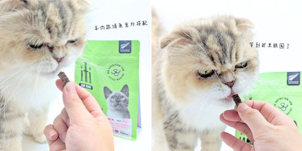 貓咪乾主食&零食｜iti一醍風｜挑食貓小花也秒殺！貓咪主食推薦、風乾零食評價分享-AG吃貨