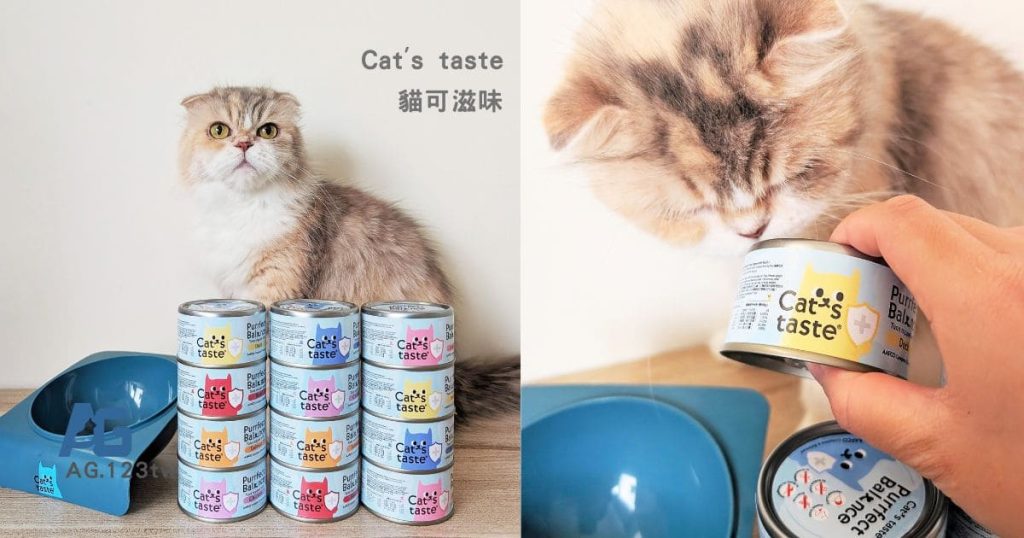 主子挑嘴救星｜Cat's taste貓可滋味｜無膠主食罐開箱實測｜過敏貓也能吃的安心罐罐！AG吃貨