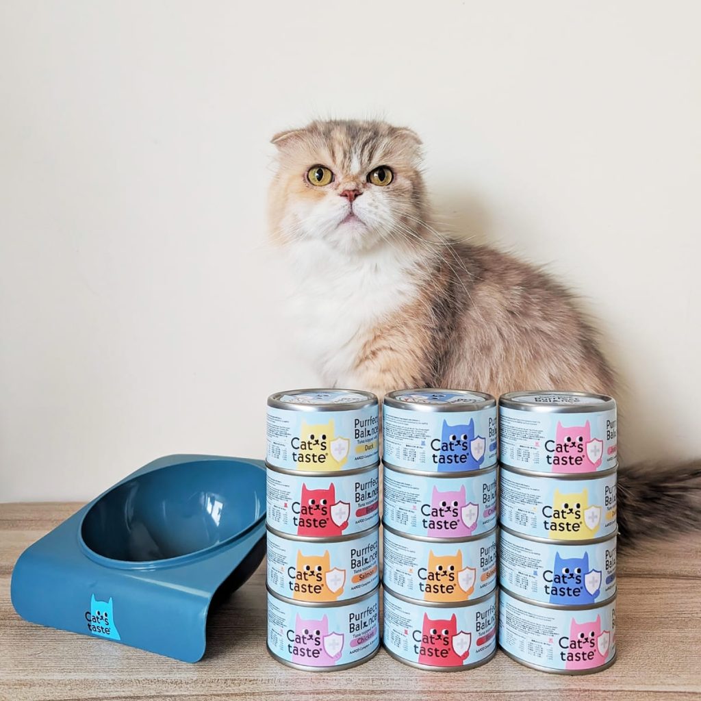 主子挑嘴救星｜Cat's taste貓可滋味｜無膠主食罐開箱實測｜過敏貓也能吃的安心罐罐！AG吃貨