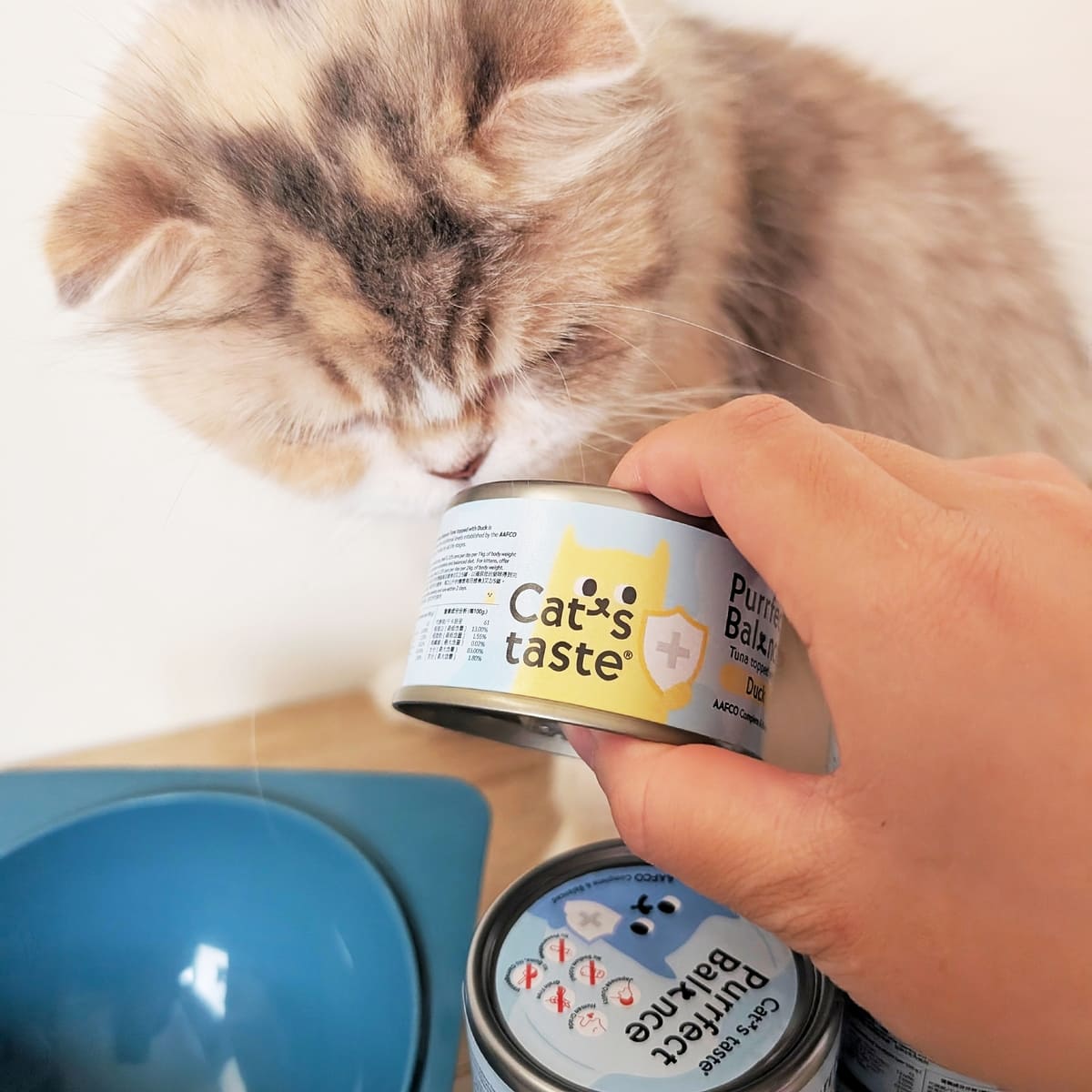 主子挑嘴救星｜Cat's taste貓可滋味｜無膠主食罐開箱實測｜過敏貓也能吃的安心罐罐！AG吃貨