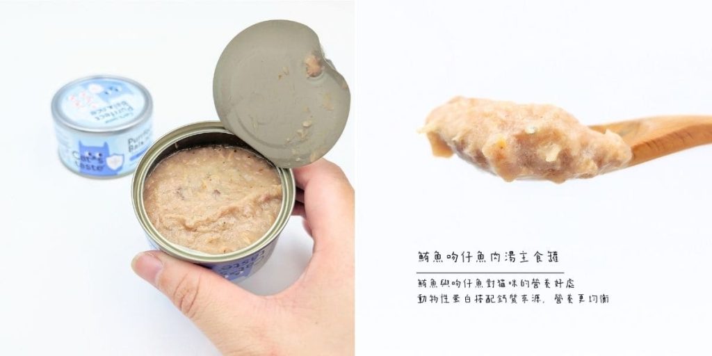 主子挑嘴救星｜Cat's taste貓可滋味｜無膠主食罐開箱實測｜過敏貓也能吃的安心罐罐！AG吃貨