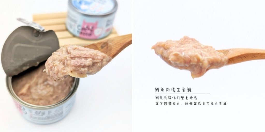 主子挑嘴救星｜Cat's taste貓可滋味｜無膠主食罐開箱實測｜過敏貓也能吃的安心罐罐！AG吃貨
