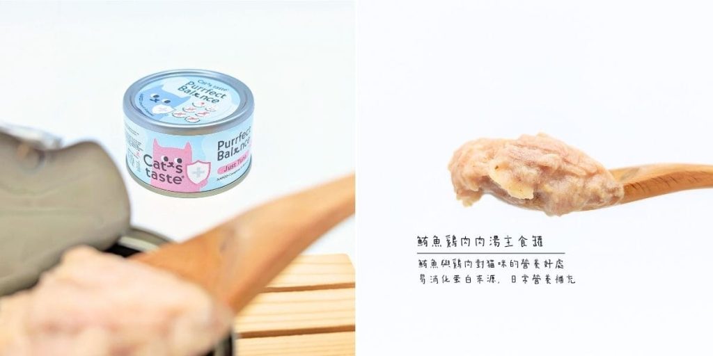 主子挑嘴救星｜Cat's taste貓可滋味｜無膠主食罐開箱實測｜過敏貓也能吃的安心罐罐！AG吃貨