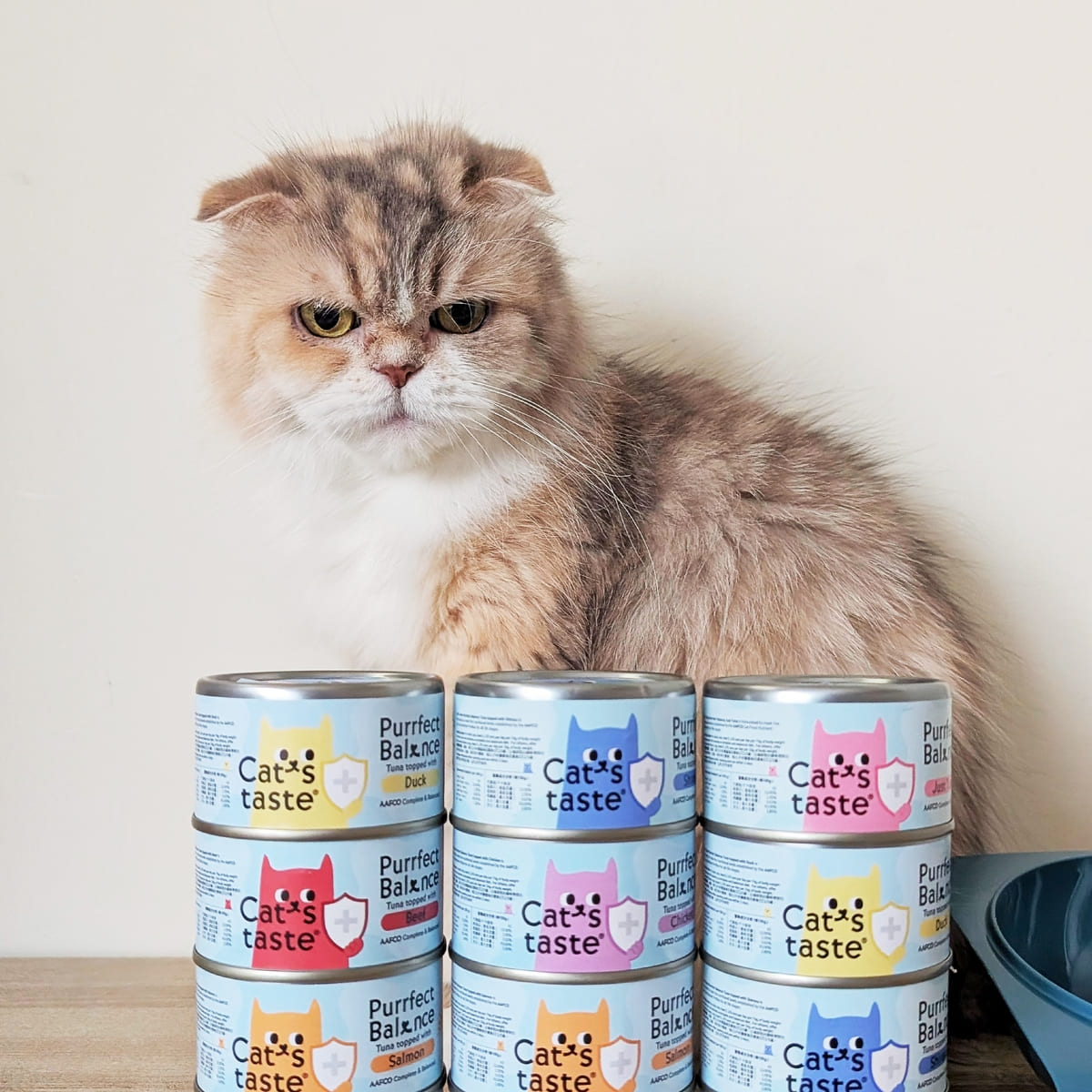主子挑嘴救星｜Cat's taste貓可滋味｜無膠主食罐開箱實測｜過敏貓也能吃的安心罐罐！AG吃貨