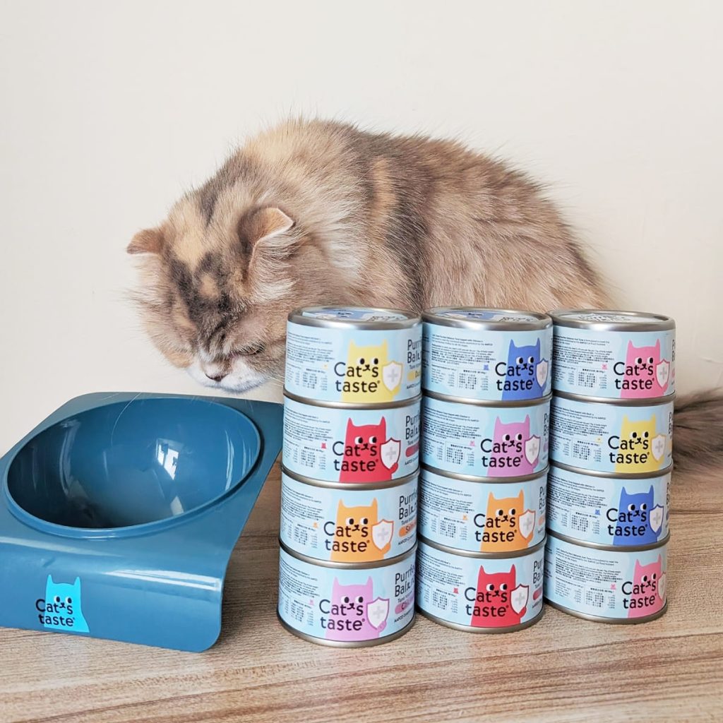 主子挑嘴救星｜Cat's taste貓可滋味｜無膠主食罐開箱實測｜過敏貓也能吃的安心罐罐！AG吃貨