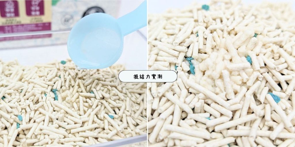 貓砂推薦｜CuzCat卡滋貓豆腐砂｜開箱實測：貓奴關心的那些小事（耐臭、分解、凝結...) AG吃貨