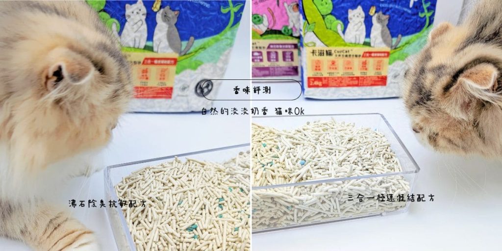 貓砂推薦｜CuzCat卡滋貓豆腐砂｜開箱實測：貓奴關心的那些小事（耐臭、分解、凝結...) AG吃貨
