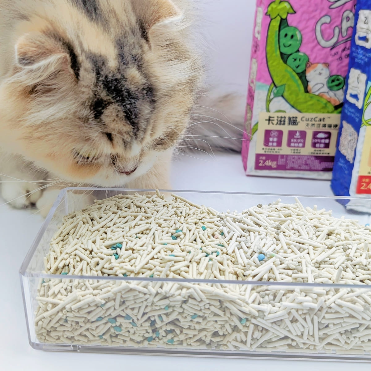 貓砂推薦｜CuzCat卡滋貓豆腐砂｜開箱實測：貓奴關心的那些小事（耐臭、分解、凝結...) AG吃貨