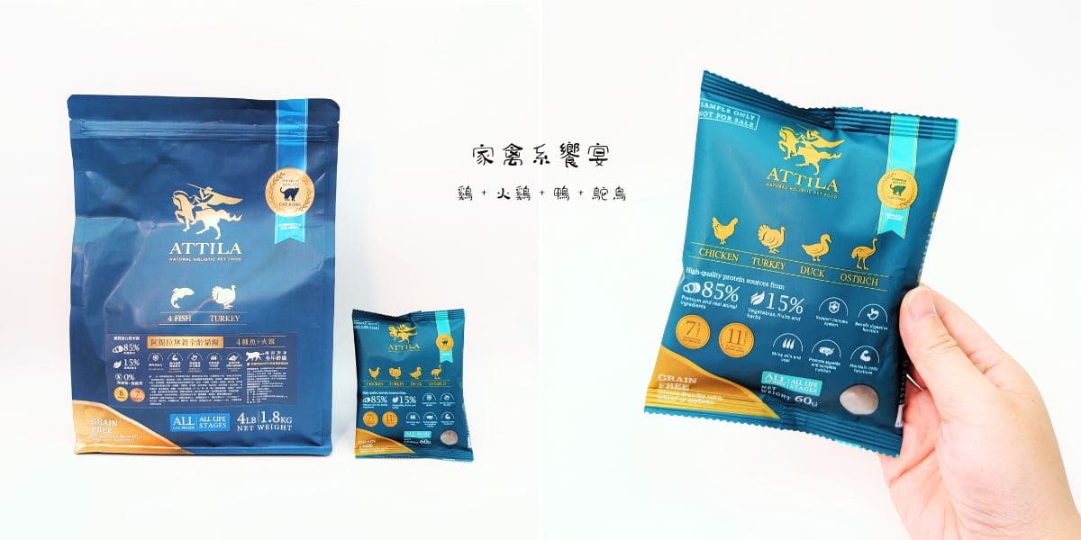 ATTILA貓飼料評價｜挑嘴貓也難敵這一口！12歲貓皇吃上癮的阿提拉貓飼料開箱，無穀貓飼料推薦大公開-AG吃貨