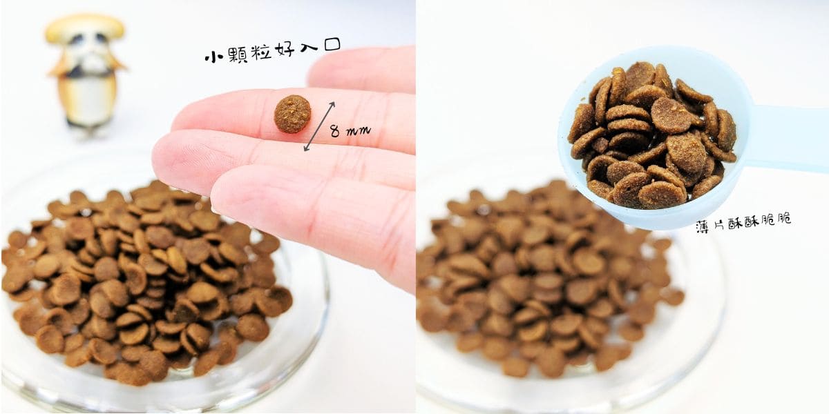 ATTILA貓飼料評價｜挑嘴貓也難敵這一口！12歲貓皇吃上癮的阿提拉貓飼料開箱，無穀貓飼料推薦大公開-AG吃貨