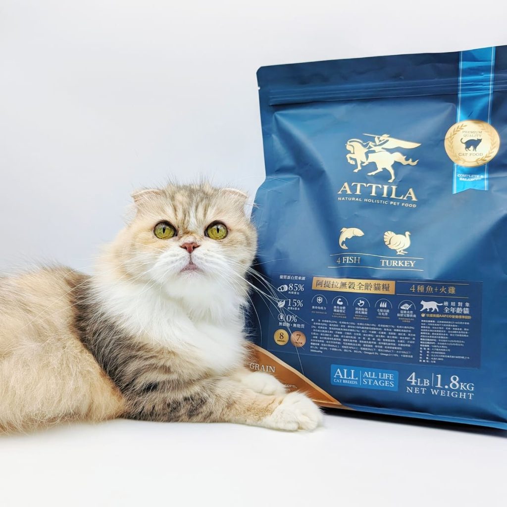 ATTILA貓飼料評價｜挑嘴貓也難敵這一口！12歲貓皇吃上癮的阿提拉貓飼料開箱，無穀貓飼料推薦大公開-AG吃貨