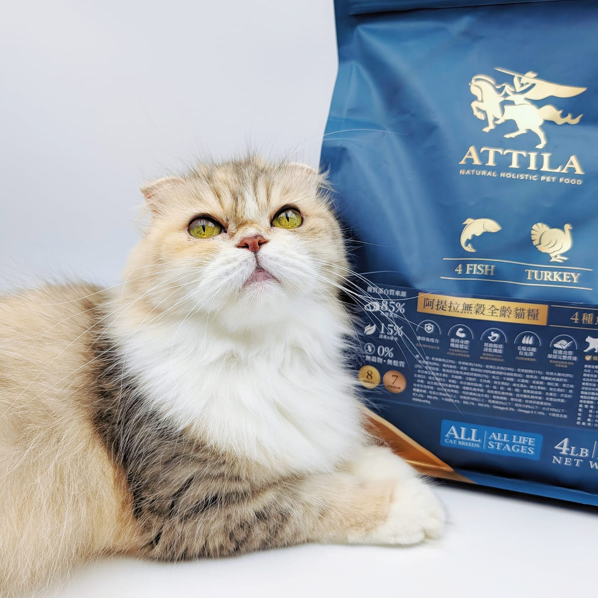 ATTILA貓飼料評價｜挑嘴貓也難敵這一口！12歲貓皇吃上癮的阿提拉貓飼料開箱，無穀貓飼料推薦大公開-AG吃貨