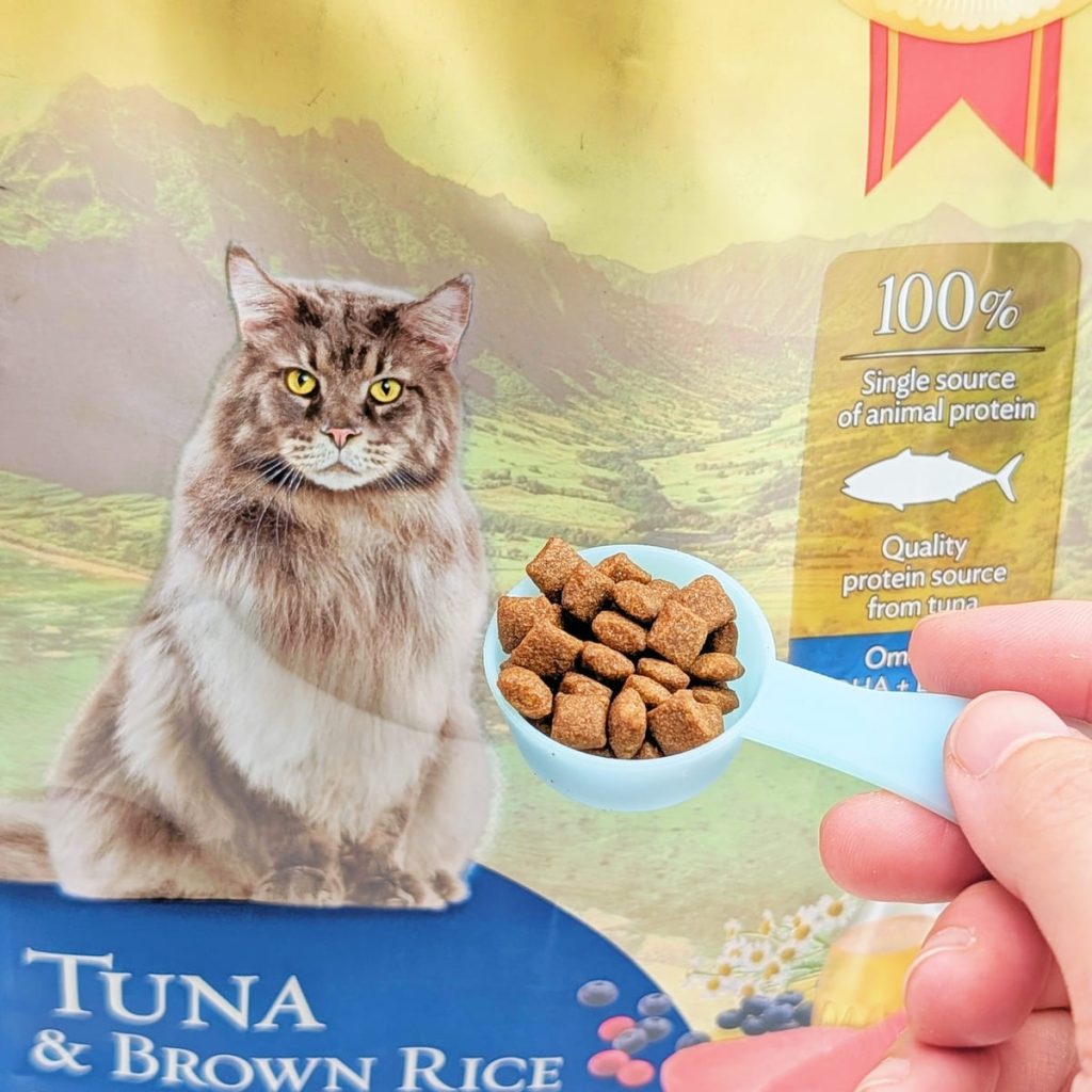 單一肉源飼料開箱｜慧心自然系列（極地鮭魚+糙米 vs 深海鮪魚+糙米）12歲挑嘴貓小花來開箱-AG吃貨