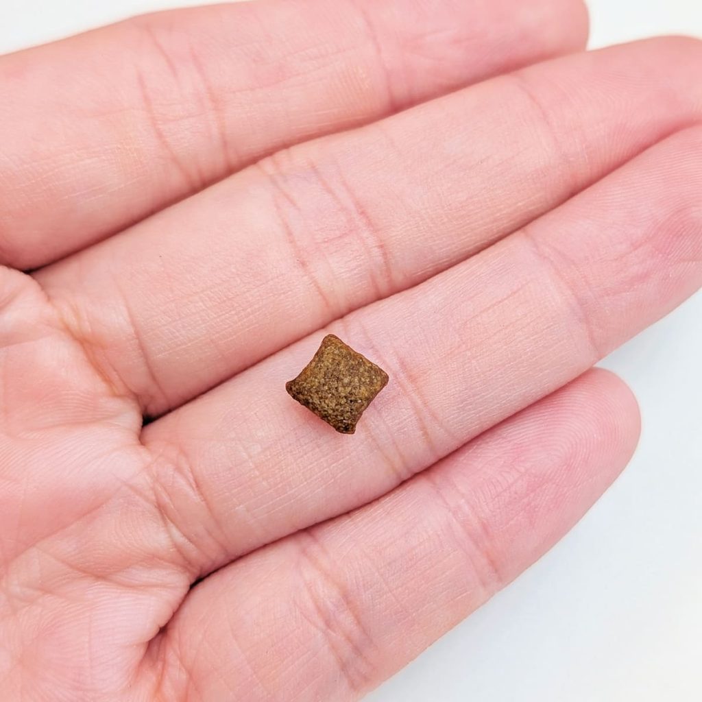 單一肉源飼料開箱｜慧心自然系列（極地鮭魚+糙米 vs 深海鮪魚+糙米）12歲挑嘴貓小花來開箱-AG吃貨