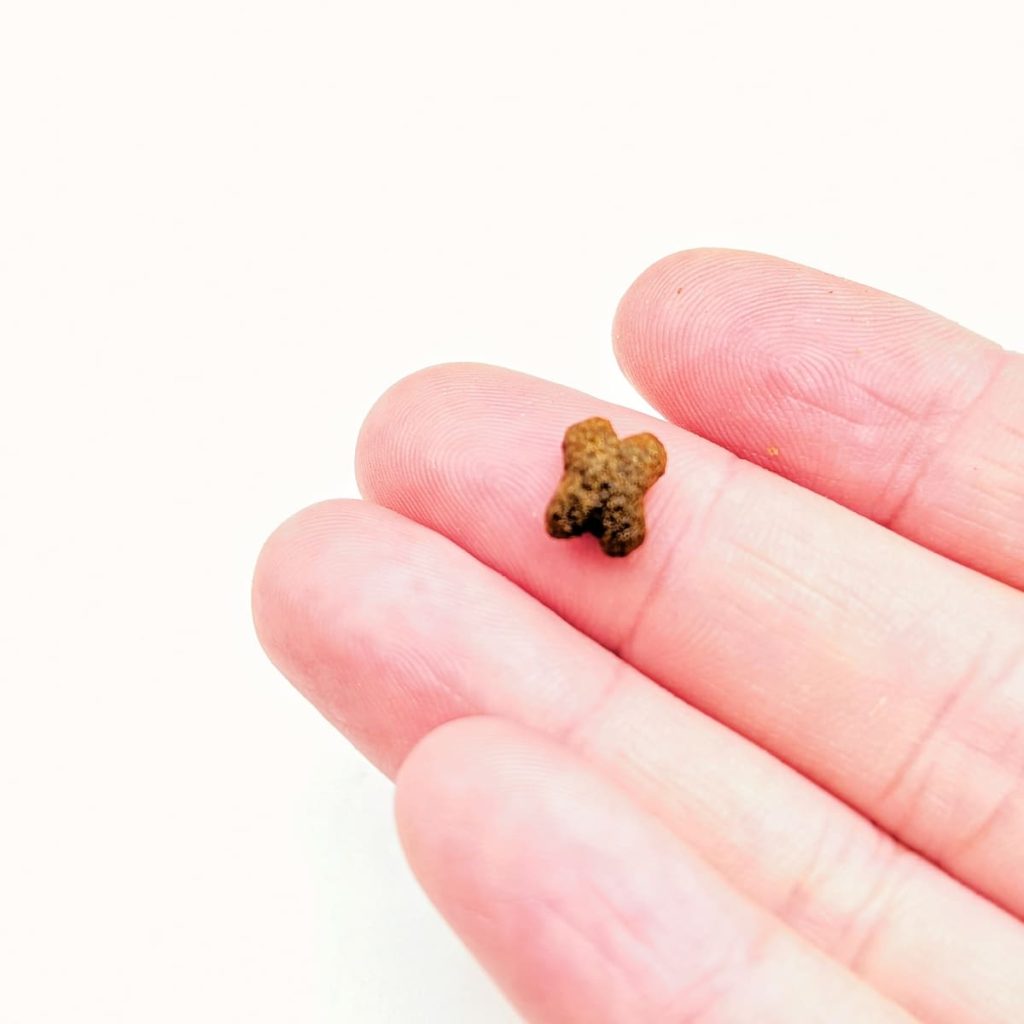 單一肉源飼料開箱｜慧心自然系列（極地鮭魚+糙米 vs 深海鮪魚+糙米）12歲挑嘴貓小花來開箱-AG吃貨