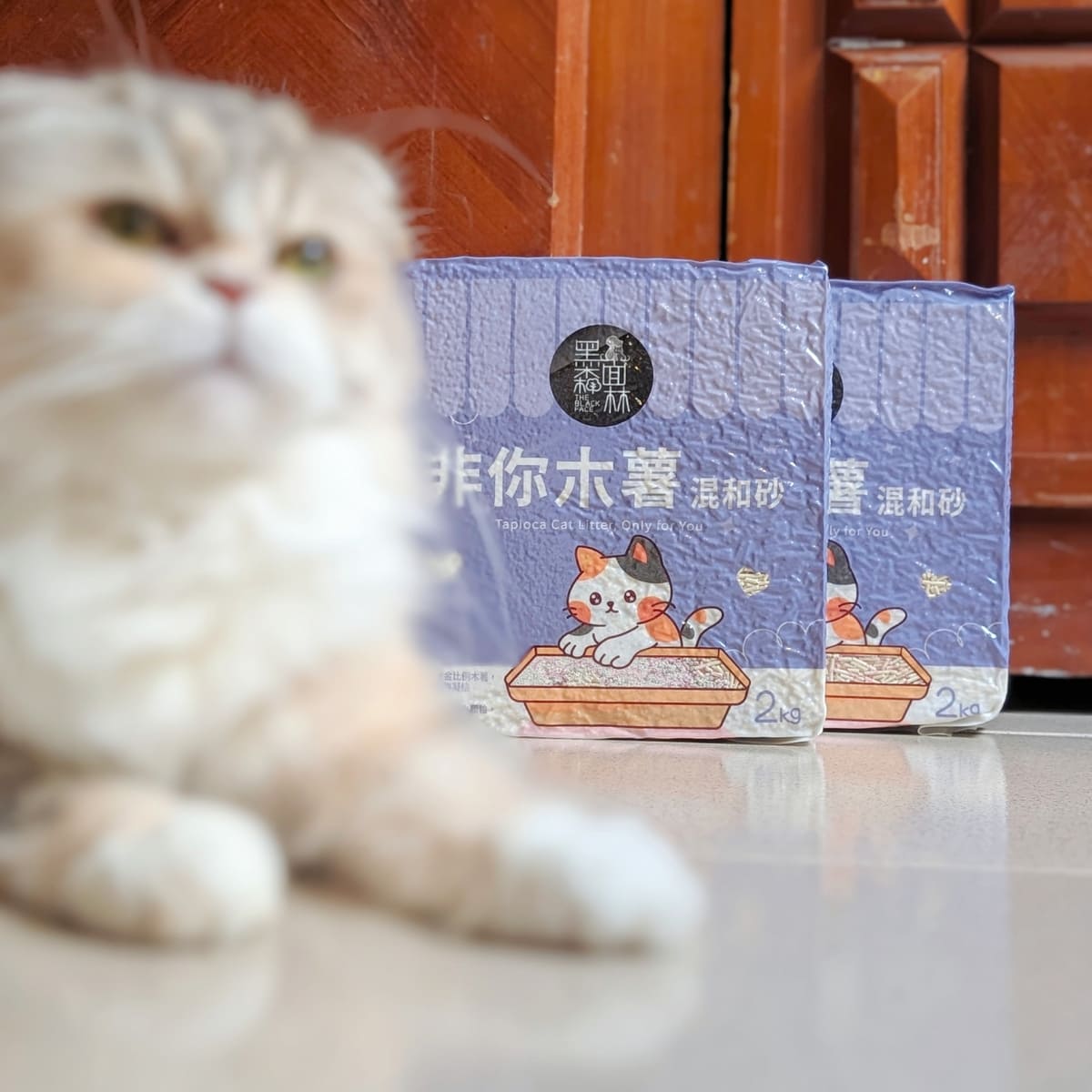 貓砂推薦｜黑面森林非你木薯砂評價｜貓咪實測，好感度ＵＰ！高凝結、低粉塵、可沖馬桶貓砂開箱心得-AG吃貨