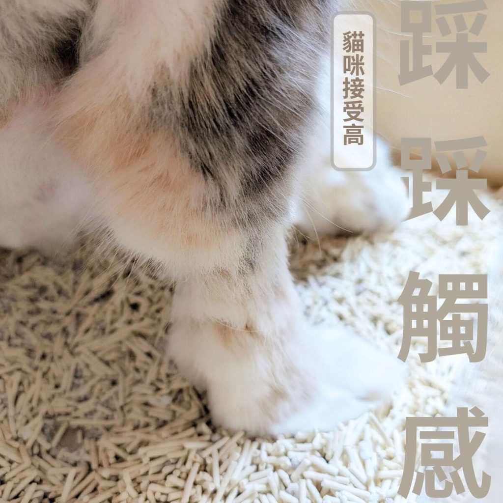 貓砂推薦｜黑面森林非你木薯砂評價｜貓咪實測，好感度ＵＰ！高凝結、低粉塵、可沖馬桶貓砂開箱心得-AG吃貨