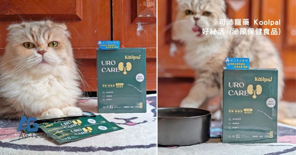 傲嬌貓的日常保健｜可沛寵藥 Koolpal 好泌活｜日常守護寵物泌尿保健品，讓貓貓好舒爽