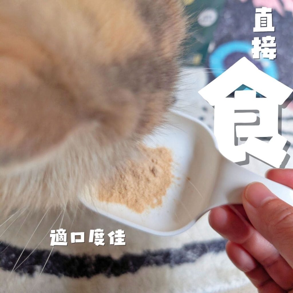 傲嬌貓的日常保健｜可沛寵藥 Koolpal 好泌活｜日常守護寵物泌尿保健品，讓貓貓好舒爽