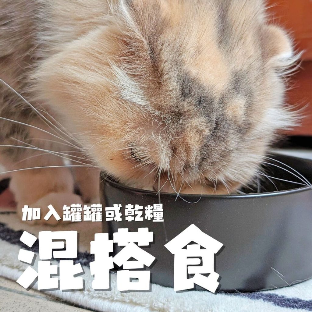 傲嬌貓的日常保健｜可沛寵藥 Koolpal 好泌活｜日常守護寵物泌尿保健品，讓貓貓好舒爽