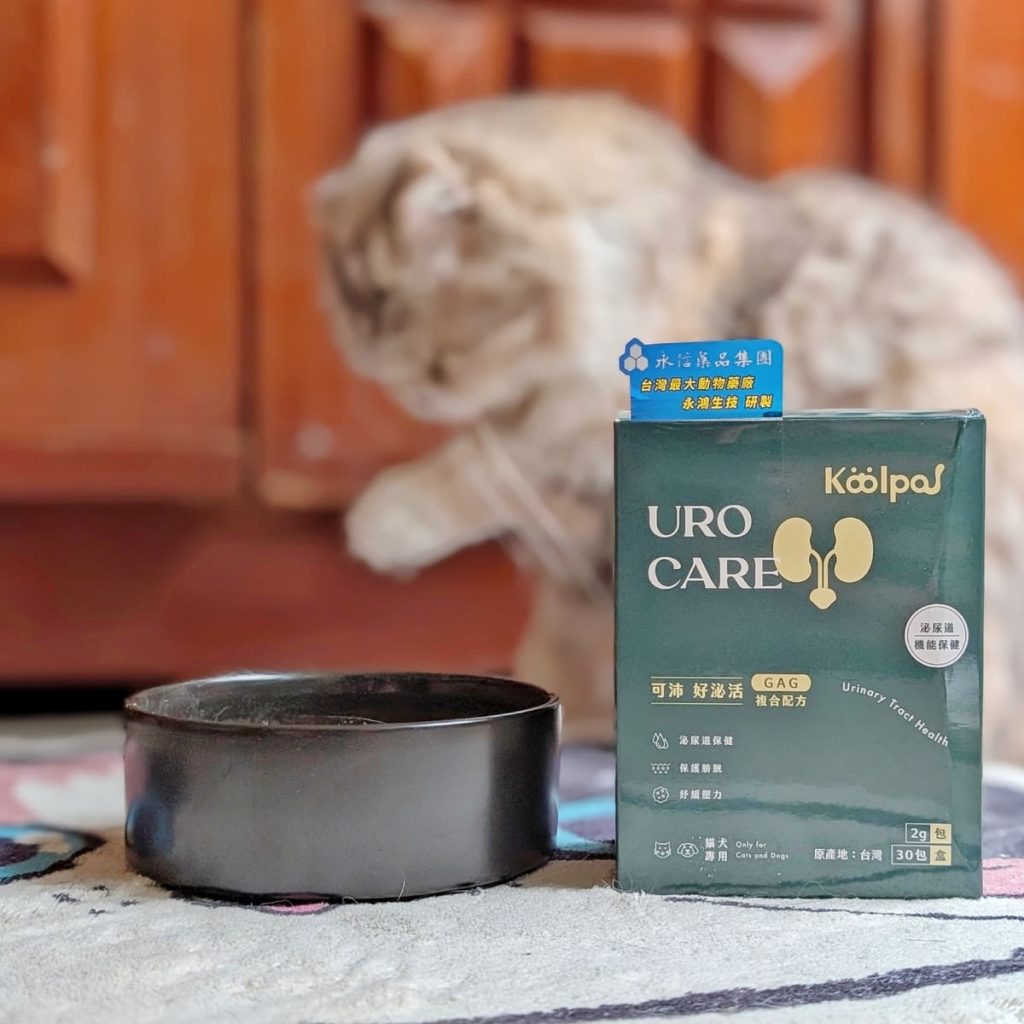 傲嬌貓的日常保健｜可沛寵藥 Koolpal 好泌活｜日常守護寵物泌尿保健品，讓貓貓好舒爽