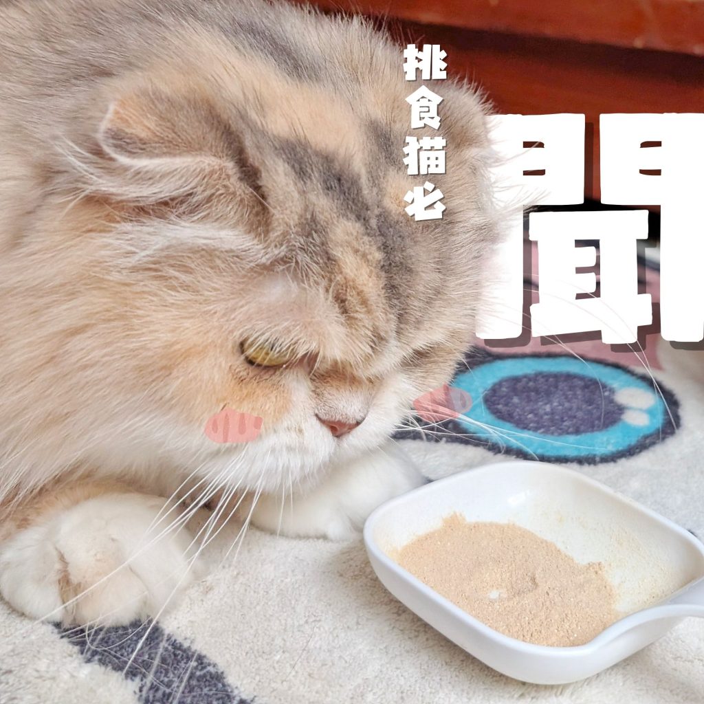 傲嬌貓的日常保健｜可沛寵藥 Koolpal 好泌活｜日常守護寵物泌尿保健品，讓貓貓好舒爽