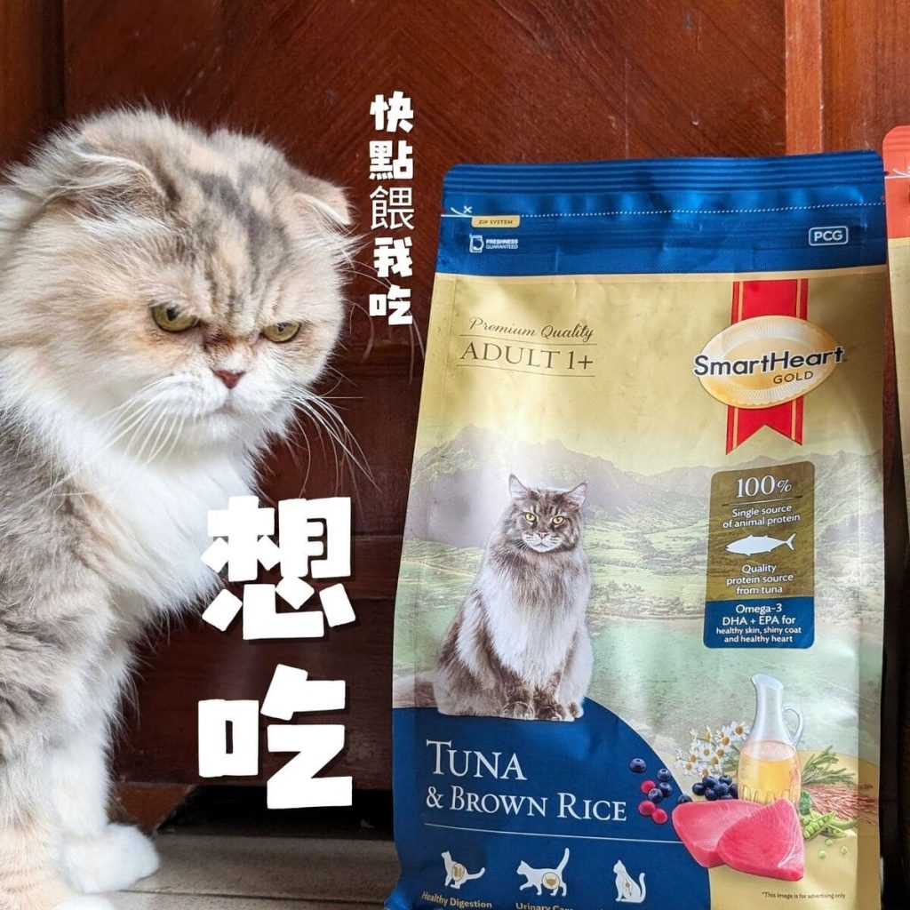 單一肉源飼料開箱｜慧心自然系列（極地鮭魚+糙米 vs 深海鮪魚+糙米）12歲挑嘴貓小花來開箱-AG吃貨