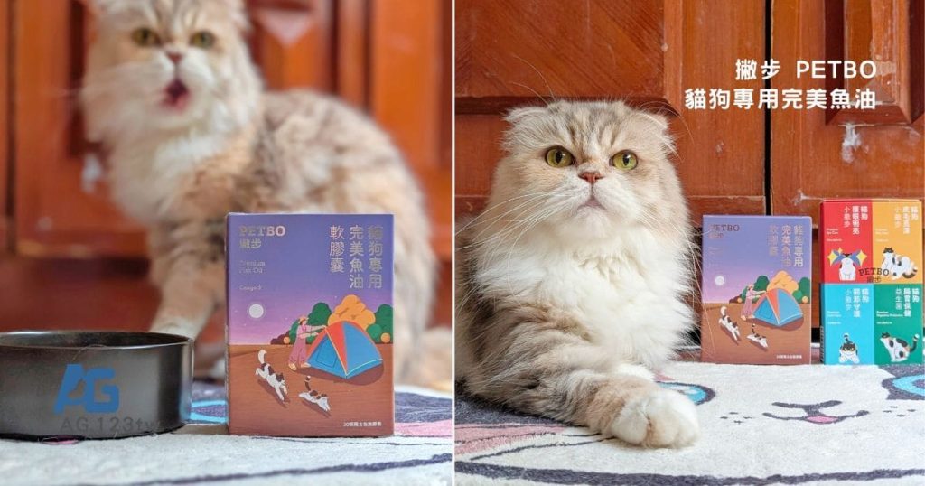 毛孩保健開箱：寵物魚油如何挑選？我家摺耳貓的保養秘訣「撇步PETBO寵物魚油膠囊」分享-AG吃貨