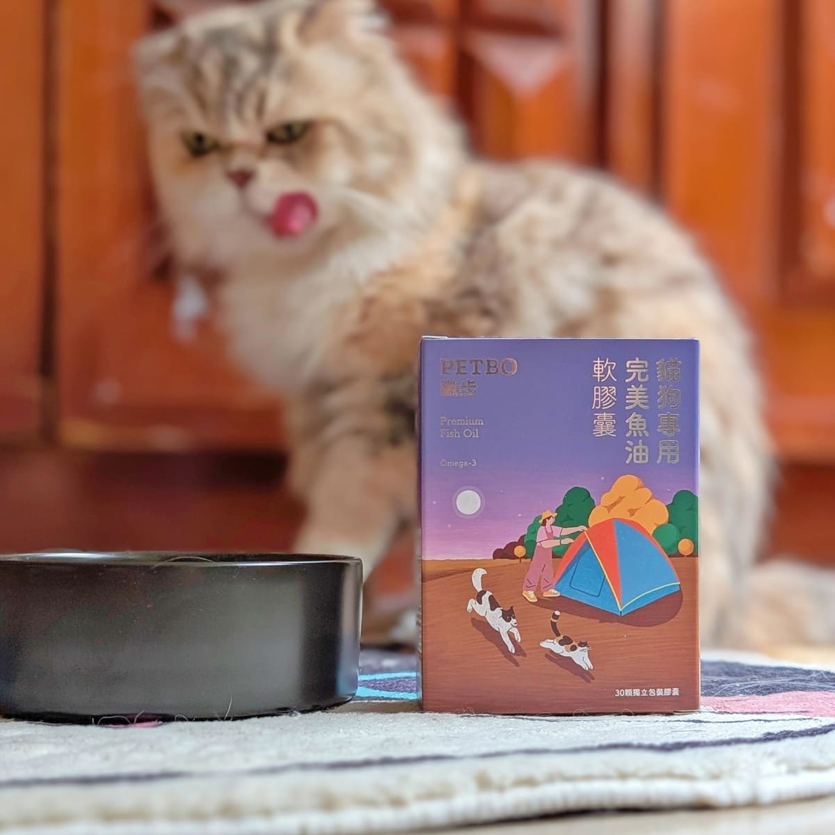 毛孩保健開箱：寵物魚油如何挑選？我家摺耳貓的保養秘訣「撇步PETBO寵物魚油膠囊」分享-AG吃貨
