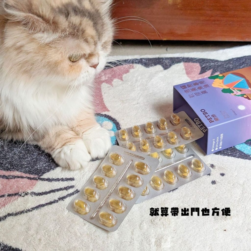 毛孩保健開箱：寵物魚油如何挑選？我家摺耳貓的保養秘訣「撇步PETBO寵物魚油膠囊」分享-AG吃貨