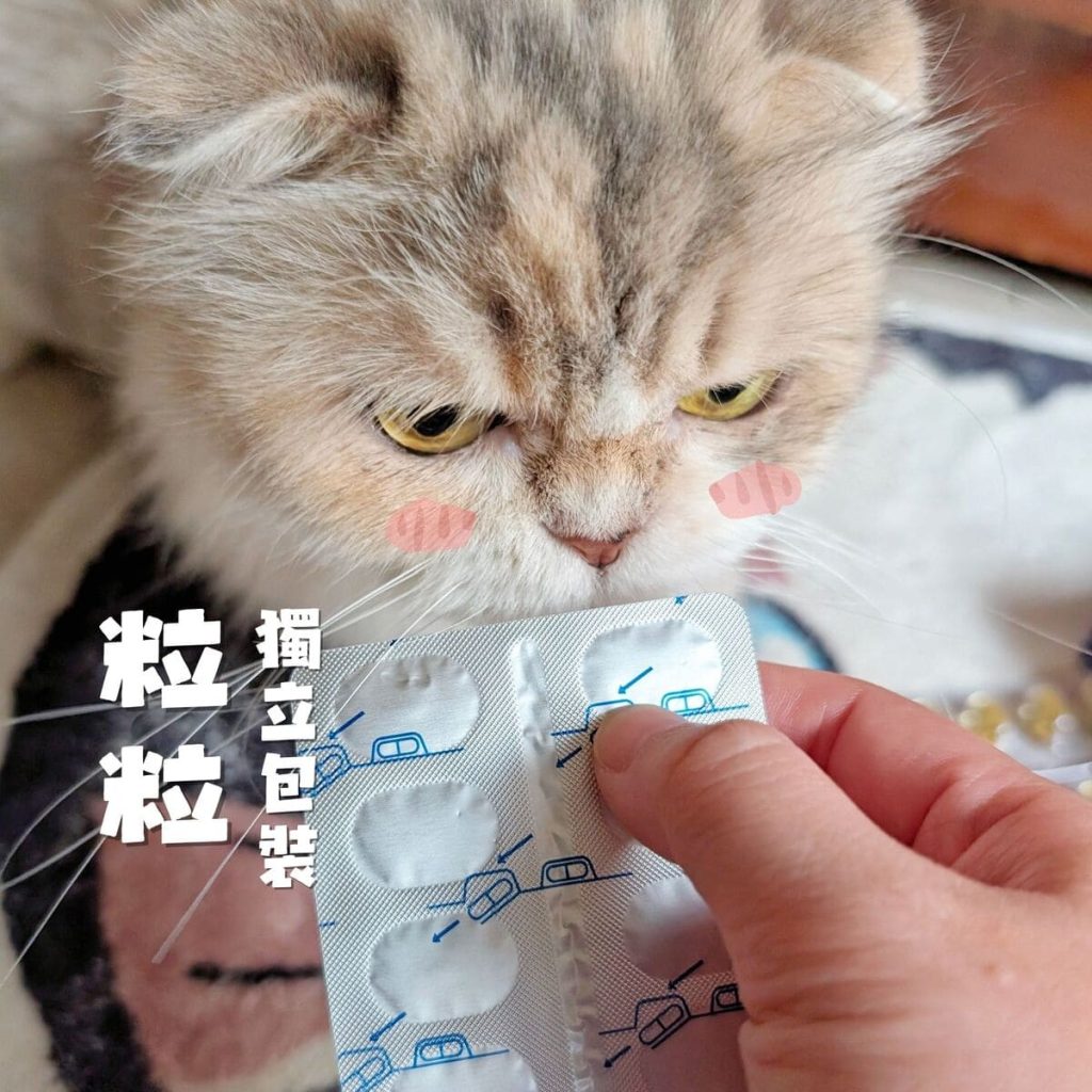 毛孩保健開箱：寵物魚油如何挑選？我家摺耳貓的保養秘訣「撇步PETBO寵物魚油膠囊」分享-AG吃貨