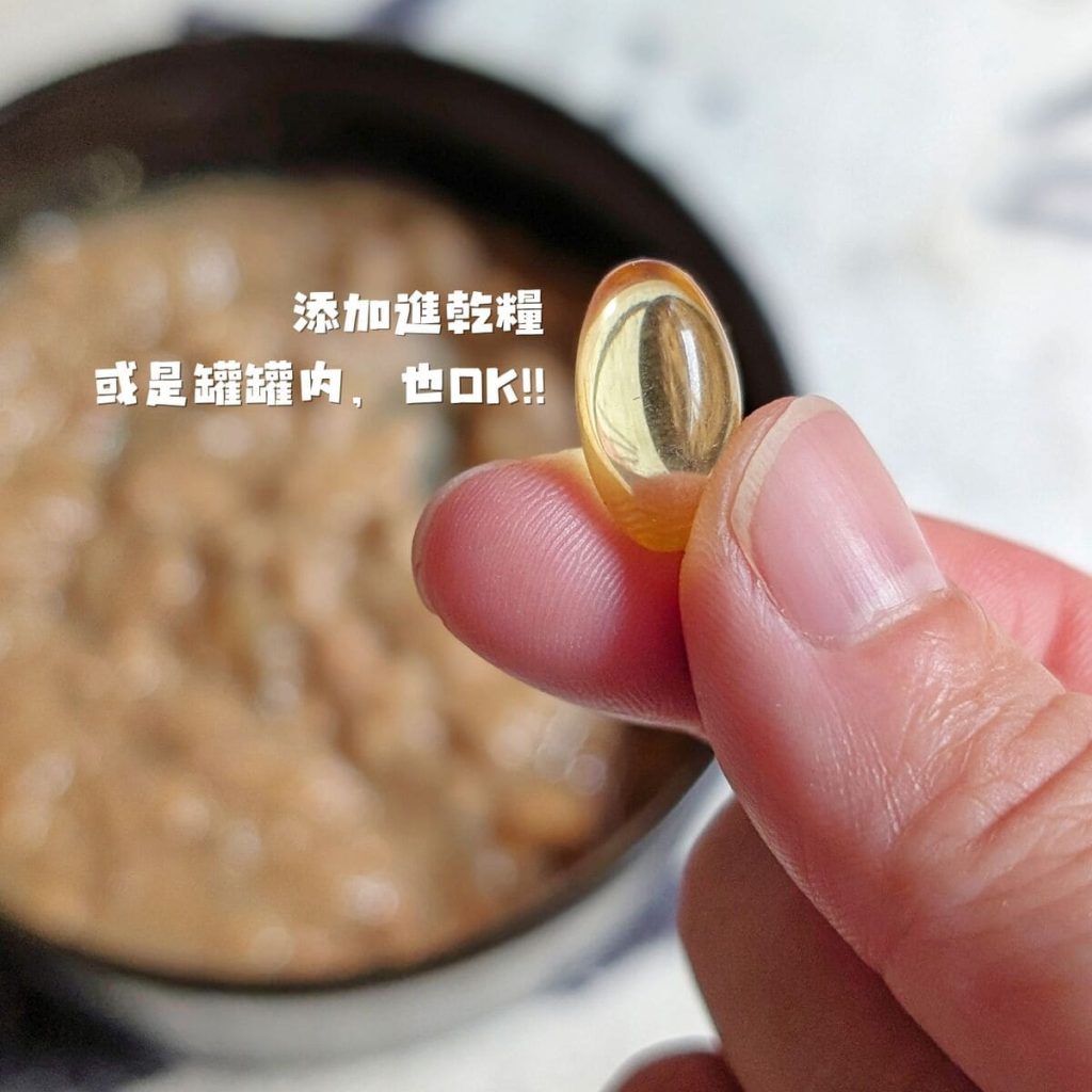 毛孩保健開箱：寵物魚油如何挑選？我家摺耳貓的保養秘訣「撇步PETBO寵物魚油膠囊」分享-AG吃貨