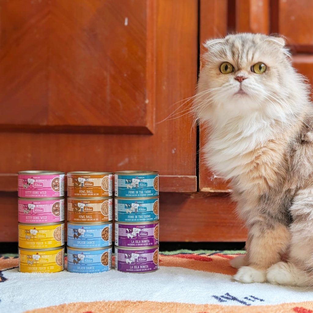 貓咪主食罐｜挑嘴貓的實測心得：Cats in the Kitchen 凱特美廚 主食罐，真的是挑嘴貓救星嗎？主食罐怎麼挑？AG吃貨