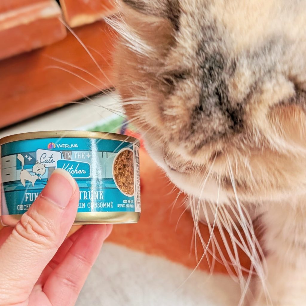 貓咪主食罐｜挑嘴貓的實測心得：Cats in the Kitchen 凱特美廚 主食罐，真的是挑嘴貓救星嗎？主食罐怎麼挑？AG吃貨